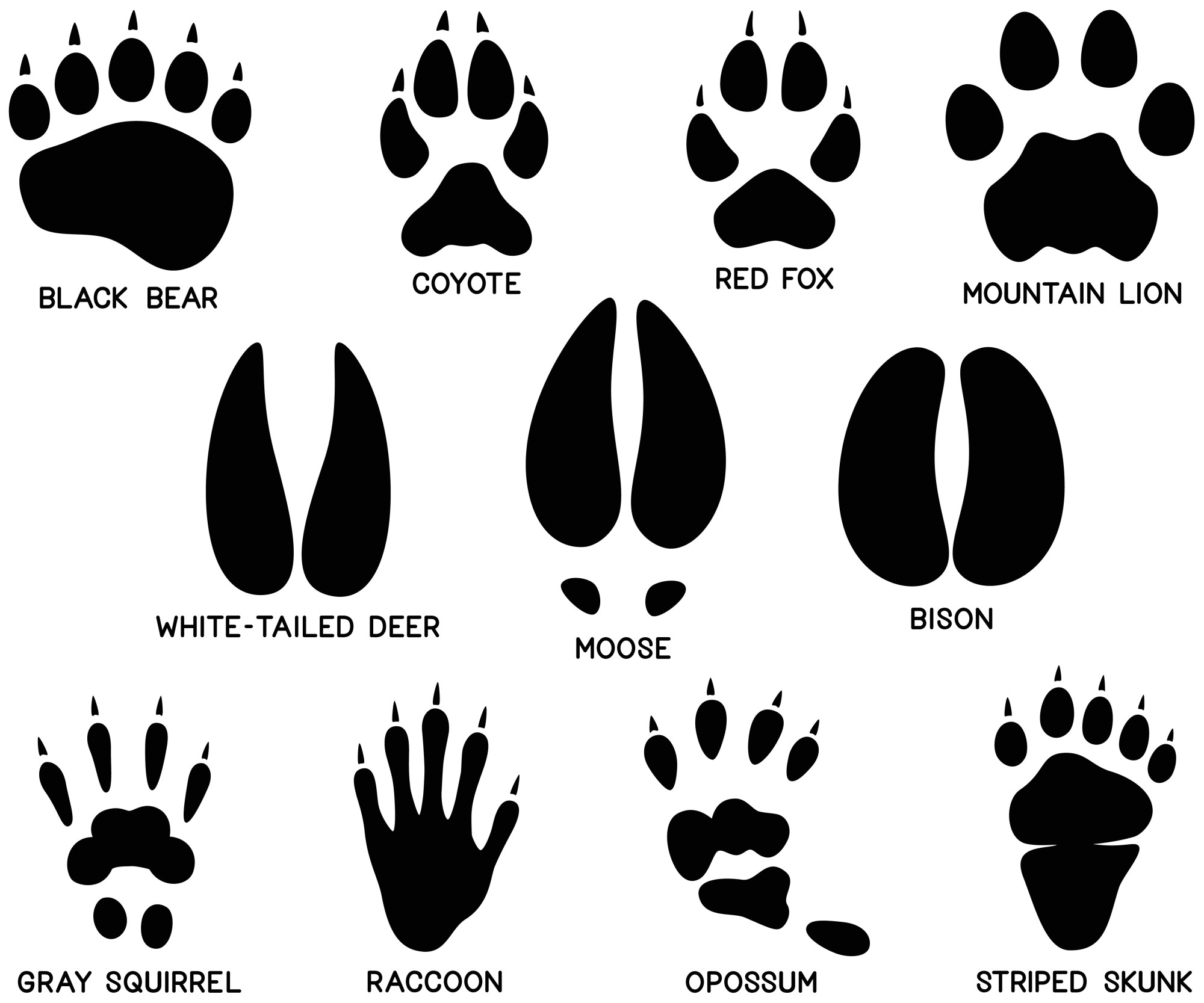 Free Big Printable Animal Footprints Fun Designs Printables For Everyone