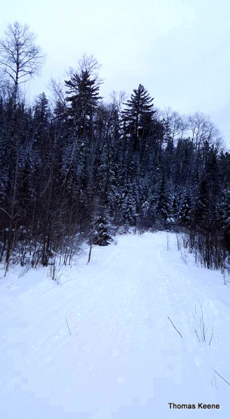 Fresh snow trails at Arrowhead