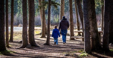 father and son walking surrounded by trees