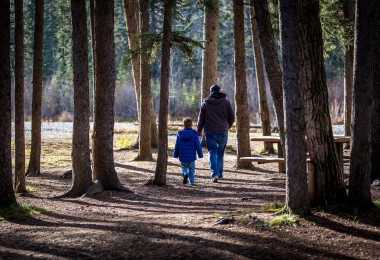 father and son walking surrounded by trees