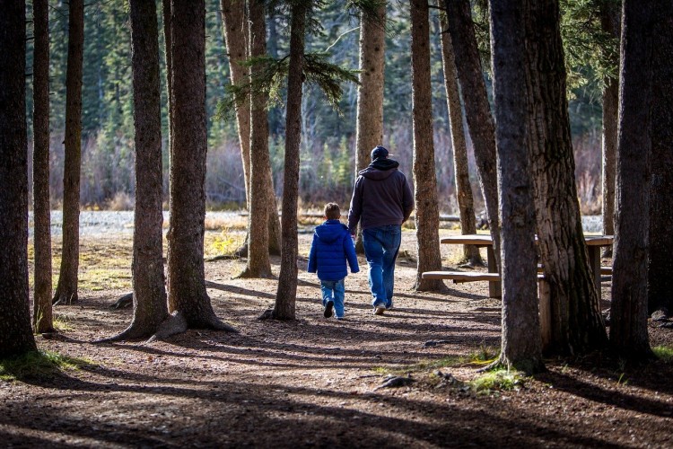 father and son walking surrounded by trees