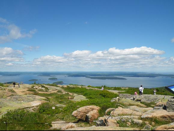 view of the trail and water under blue sky in Acadia National Park