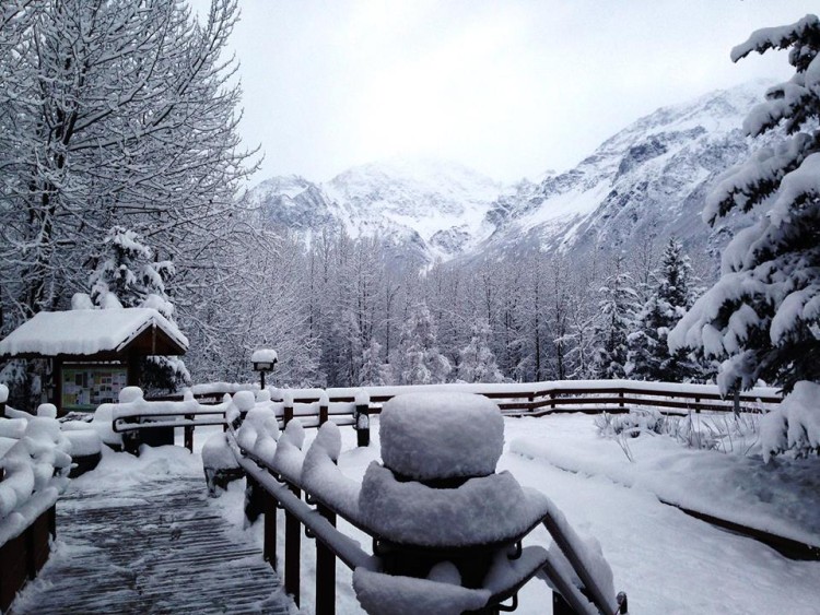 snowshoe trails near Anchorage: snowy deck with trees and cabin in distance