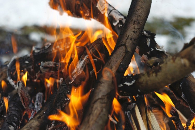 close up of campfire in winter