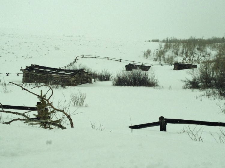 abandoned wood building in snowy landscape on Antelope Flat Road near Jackson Hole WY