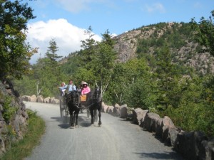 Enjoying Maine's scenery in a horse-drawn carriage, courtesy of friendsofacadia.org.