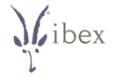 ibex