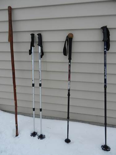 poles and staffs lined up in the snow