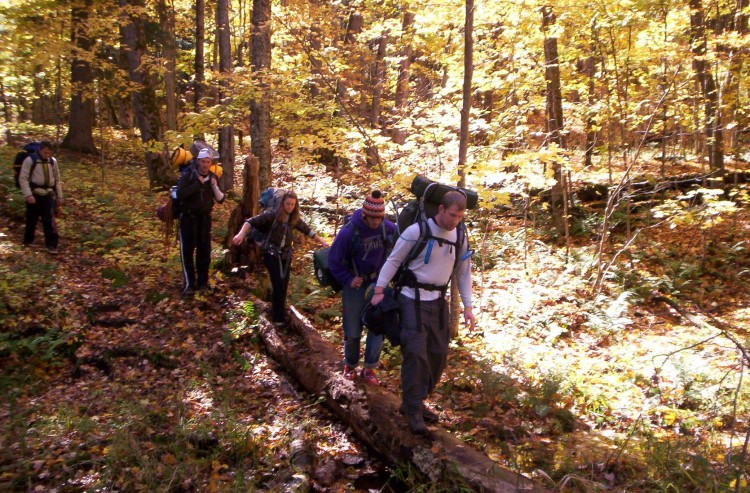 college students backpacking on trail with leaves all around in Sylvania Wilderness