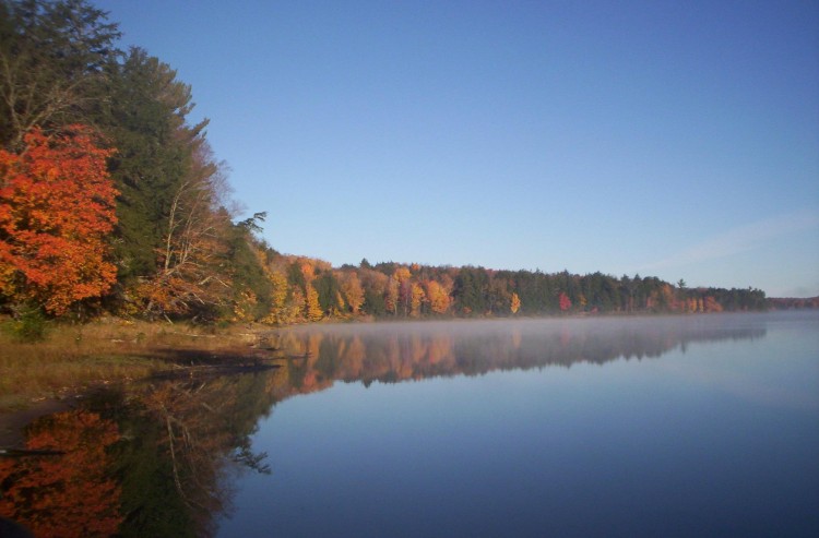 fall trees reflecting in lake in Sylvania Wilderness