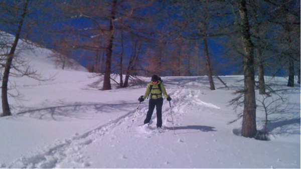 Making fresh tracks into the trees above the Colle San Carlo.