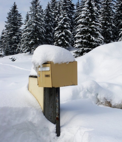 yellow mailbox covered in snow with trees in background