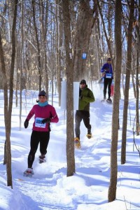 loppet4