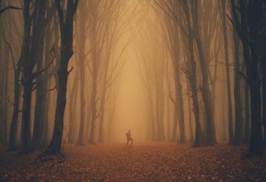 man in distance amid orange trees and fog