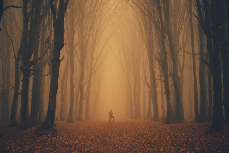 man in distance amid orange trees and fog