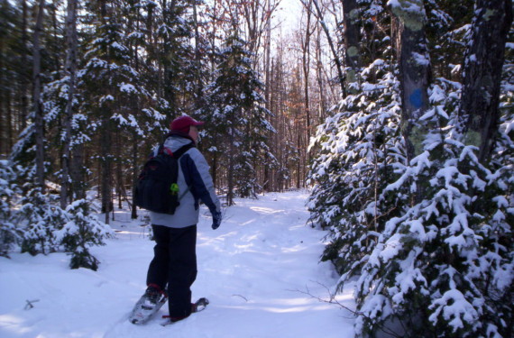 man snowshoeing along in forest