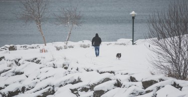 man-walking-dog-in-snow