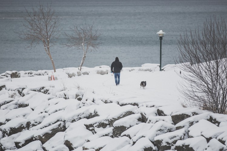 outdoor adventure ideas: man-walking-dog-in-snow