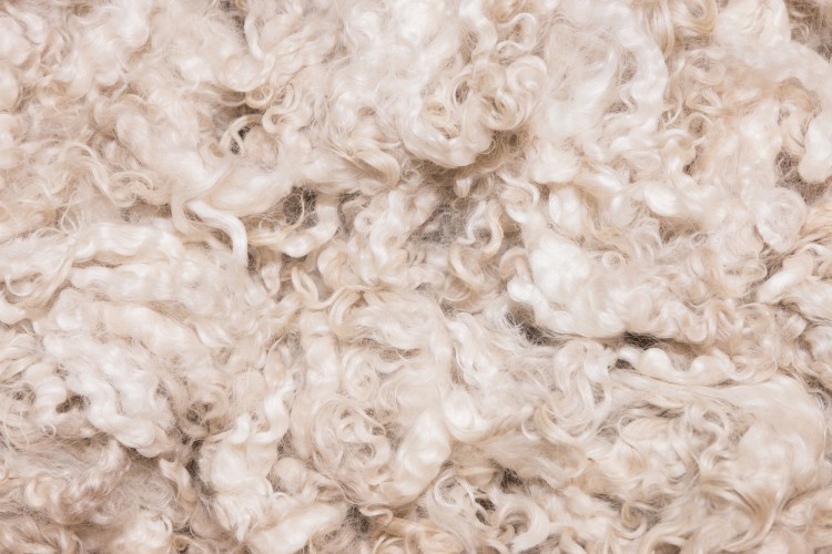 piles of unprocessed merino wool