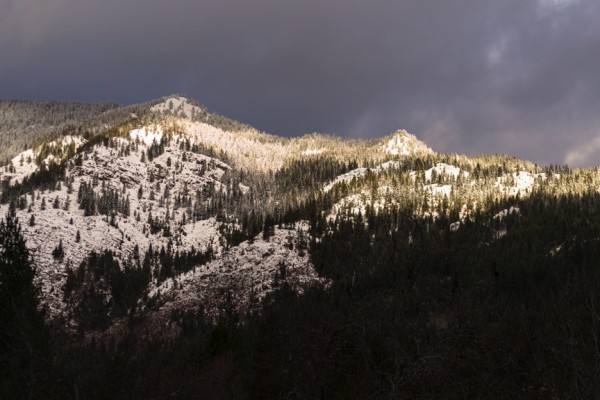 Star Peak, Montana