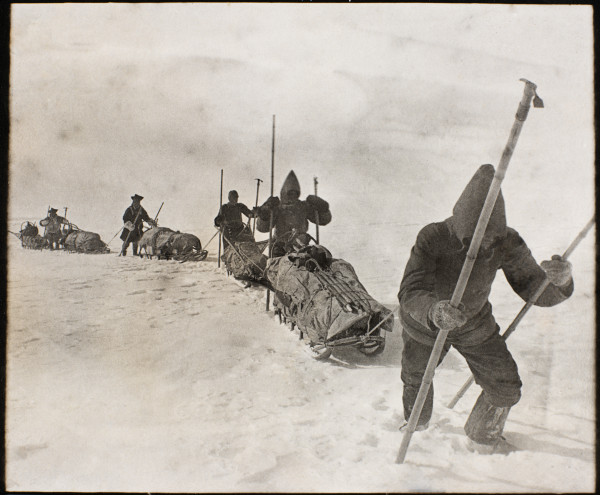 Nansen Greenland expedition: men crossing the interior of Greenland with their sleds