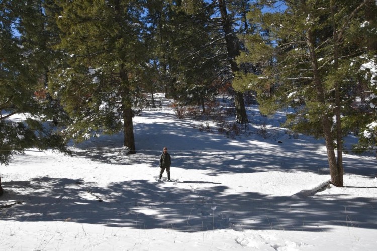 outdoor photo basics: person in distance snowshoeing on open snowy field with trees behind