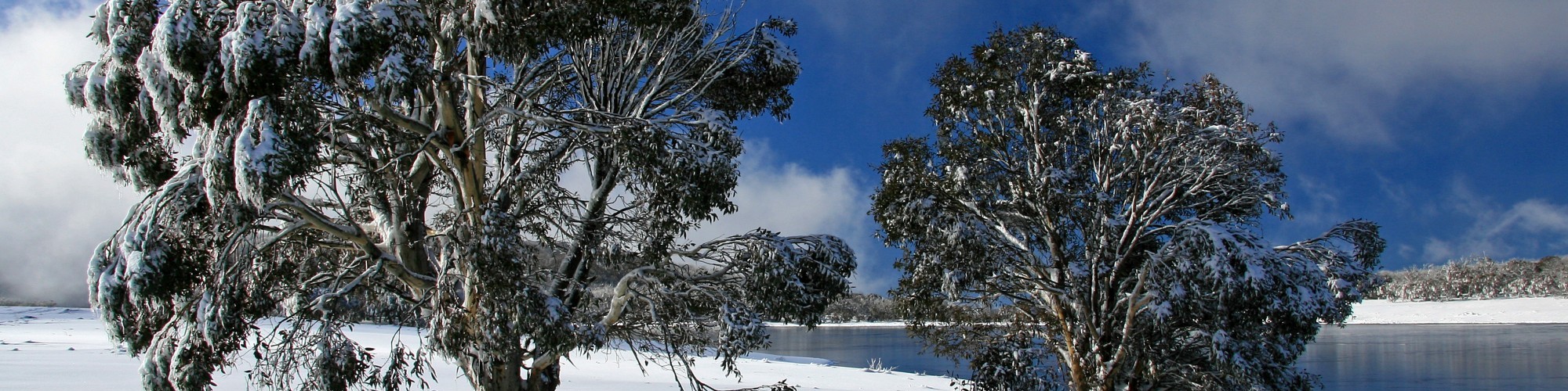 Kosciuszko National Park, Australia