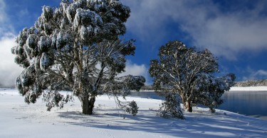 Kosciuszko National Park, Australia