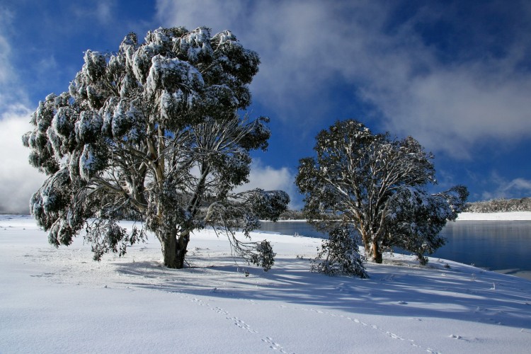 Kosciuszko National Park, Australia