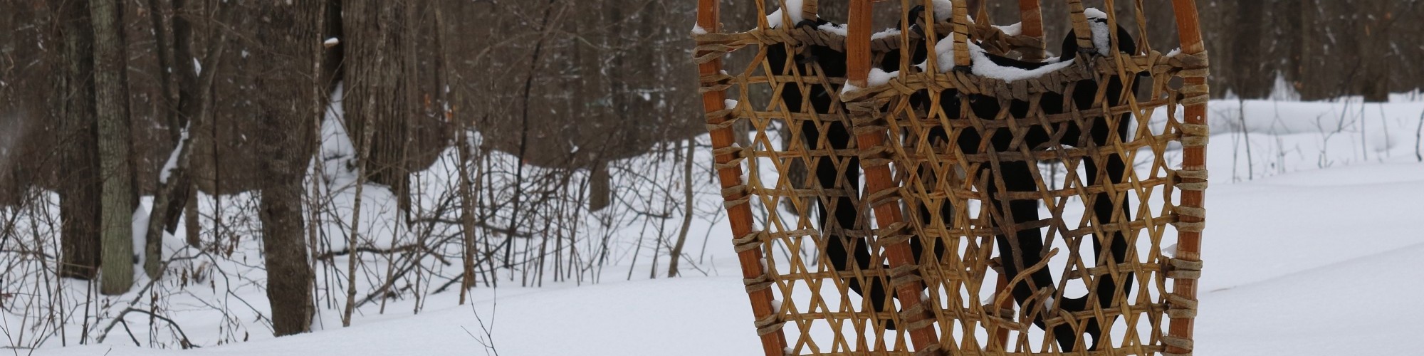 traditional snowshoes standing up in deep snow