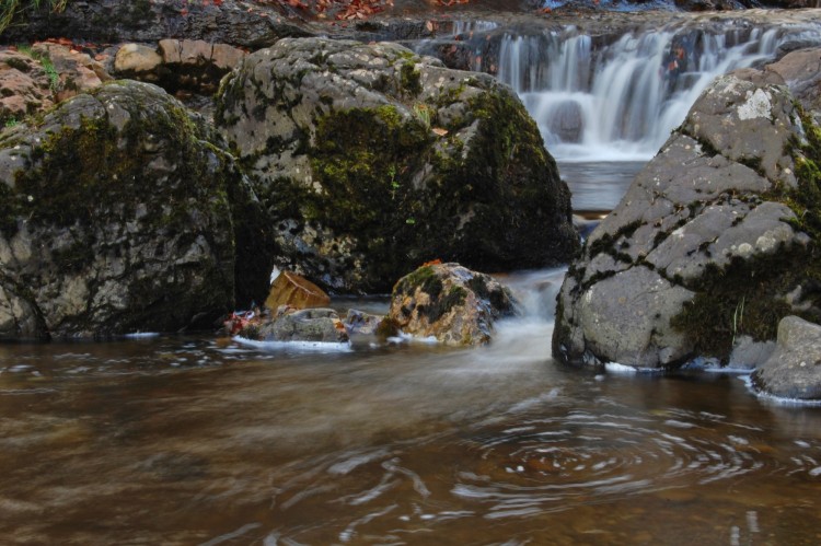 waterfall at Kirk Burn, Campsie Glen, Scotland