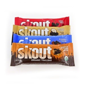 skt001-skout-organic-trailbars-vegan-raw-certified-organic-bars_1