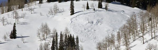 A snow pack demonstrating slab-style avalanche cracks.