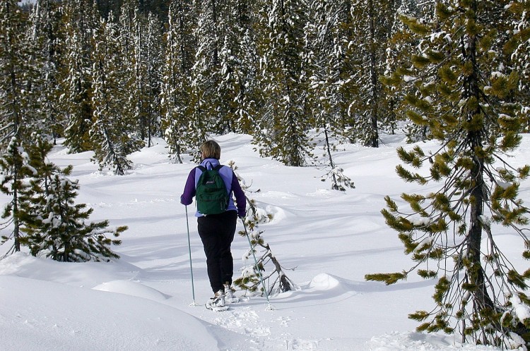 snowshoeing injury prevention: woman snowshoeing with poles in forest covered in snow