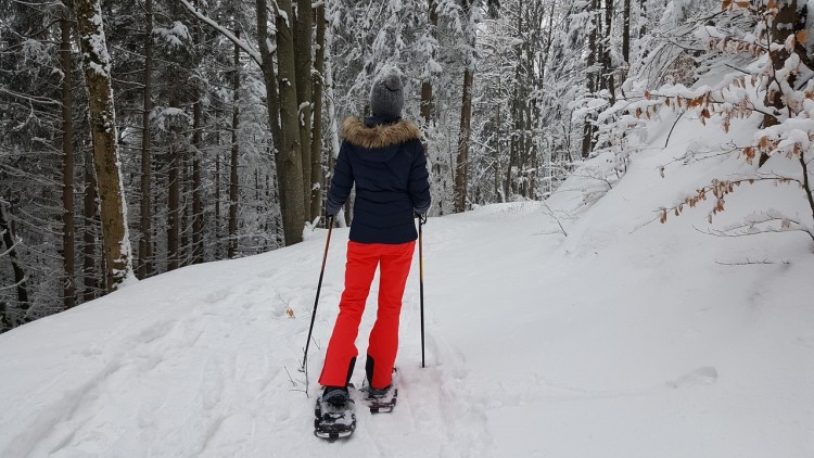 prevent ankle pain: person on snowshoes with poles with snowy backdrop