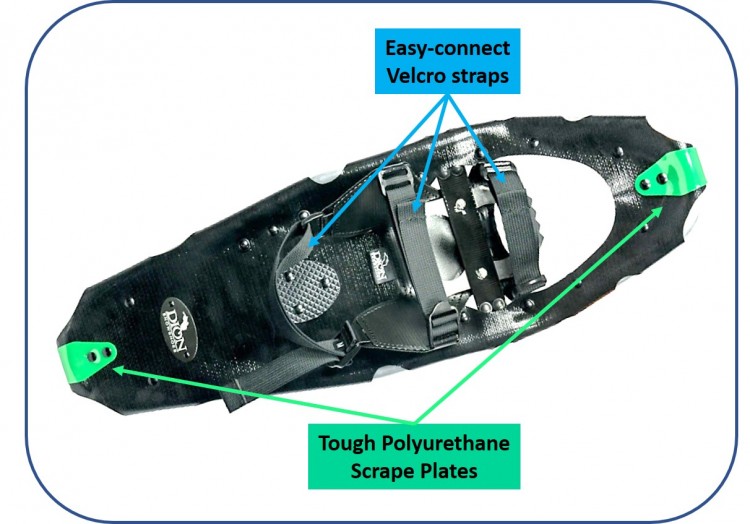 Dion 164 snowshoe with straps and scrape plates labeled