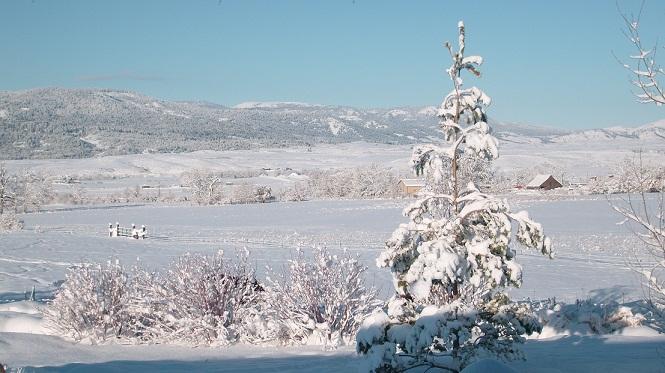 snow covered landscape - tree, hills, house in distance