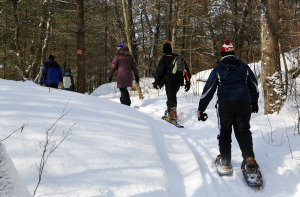snowshowing joe's trail 2013 798
