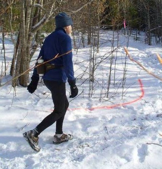 Person walking in snow.