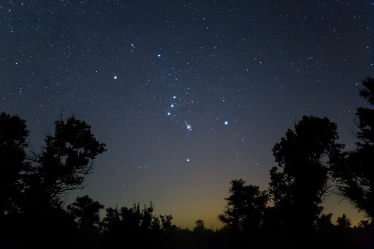 stars in constellation Orion above trees at dusk