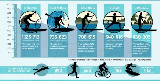 fitness chart comparing calories burned during different levels of sup