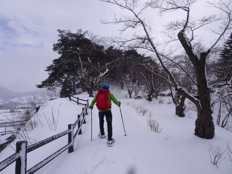 Aomori snow activities: person snowshoeing in a snowy park near a cliff and railing