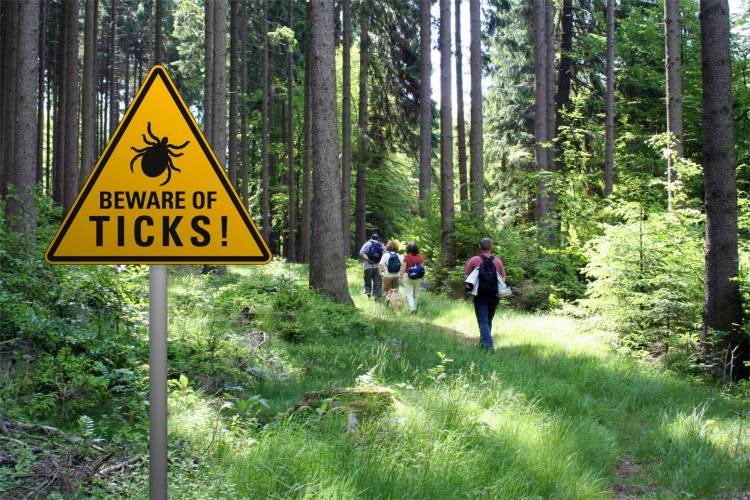 Lyme disease humans: sign warning of ticks in grassy area with hikers in background