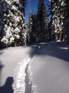 Lead or eat snow in this deep single track lane.