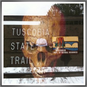 The artistic photo by ultra competitor Lynn Saari for the Tuscobia Winter Ultras.