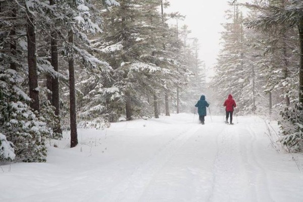 Two visitors enjoy the woods in winter on a Snowshoe Discovery Tour, Canaan Valley National Wildlife Refuge, WV. Credit: Kent Mason