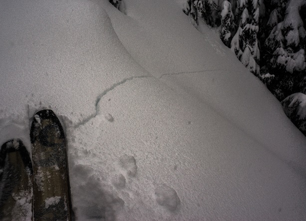 crack- snowshoeing avalanche awareness and safety 