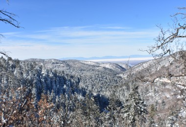 view of White Sands National Park from trail near Cloudcroft NM