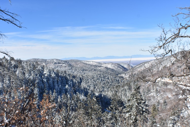 view of White Sands National Park from trail near Cloudcroft NM