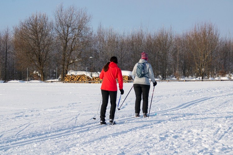 two people cross country skiing